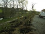 2012 avril plantation.JPG