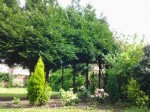 Mon  jardin