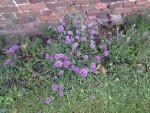 20140513_102200.jpg