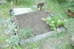 Photo 001.jpg