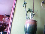 Picture 125.jpg