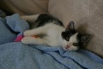 IMG_1744 [800x600].JPG