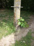 Tarière inox-1.jpg