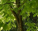DSC01492.JPG