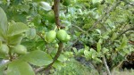WP_20140518_001.jpg