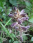 Photo 183.jpg