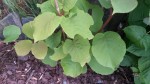 20140527_174249.jpg