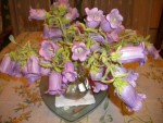 DSCN5552.JPG