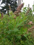 20140530_165446.jpg