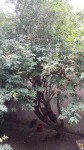 2014-06-01 18.34.11.jpg