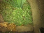 IMG_0701.jpg