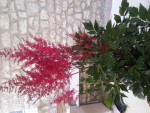 20140602_204608.jpg