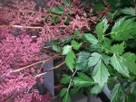 20140602_204619.jpg