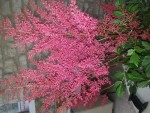 20140602_204701.jpg
