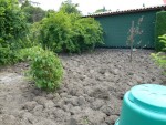 DSCN0621reduit_175.JPG