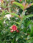 DSC_0568 [320x200].jpg