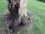 DSCN1705.jpg