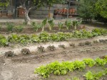 DSCN5566.JPG