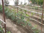 DSCN5567.JPG