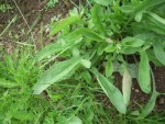 DSCN9762.JPG