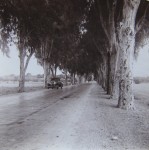 une_Citroen_traction_avant_sur_la_route_d_Orl_ansville_entre_Montenotte_et_l_embranchement_de_Kaloul_et_Cavagniac_2[1].jpg