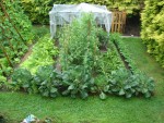 DSC01303.JPG