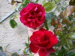 20140608_164104.jpg