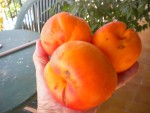 DSCN5573.JPG