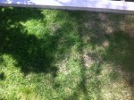 IMG_2234.JPG