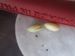 et les deux autres qui se sont fendillés en deux
