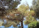 IMG_1647.JPG