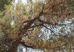 IMG_1612.JPG