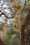 IMG_1615.JPG