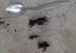 20140613_204945.jpg