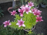 DSCN5574.JPG