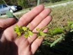 DSC01910.jpg