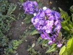 DSCN5616.JPG