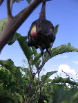 IMG_3027.JPG