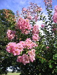 IMG_3026.JPG