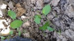 20140622_1529411.jpg
