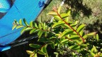 20140622_155013.jpg