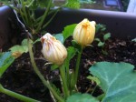 IMG_63468.jpeg