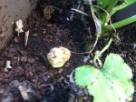 IMG_34043.jpeg