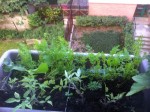 IMG_56001.jpeg
