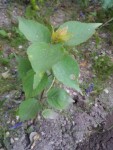 20140622_203614.jpg