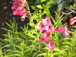 DSCN5620.JPG