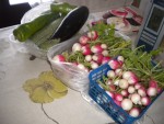 DSCN5650.JPG