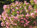 DSCN5640.JPG