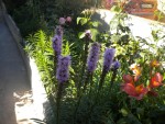 DSCN5655.JPG