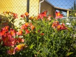 DSCN5654.JPG